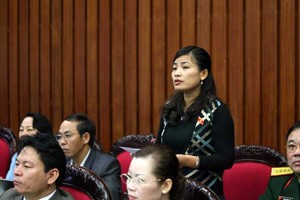 Đại biểu Đàm Thị Mỹ Hương